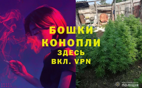 дживик Гусь-Хрустальный