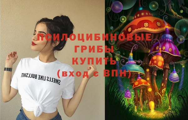 MESCALINE Гусиноозёрск