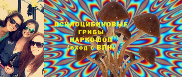 дживик Гусь-Хрустальный