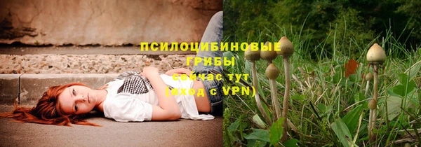 jwh Алзамай