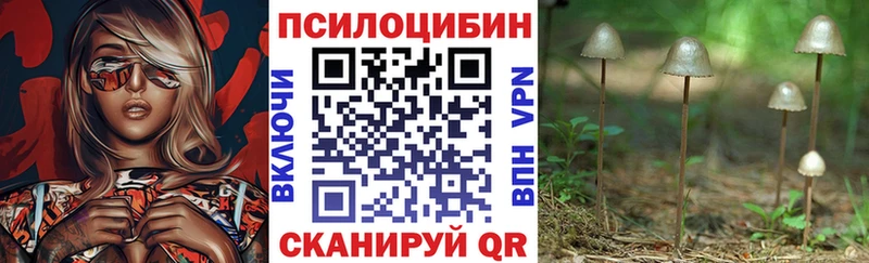 Галлюциногенные грибы Psilocybine cubensis  кракен зеркало  Зарайск 